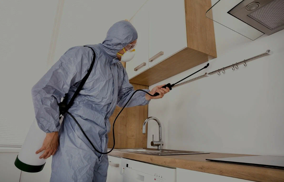 Claremont pest managment